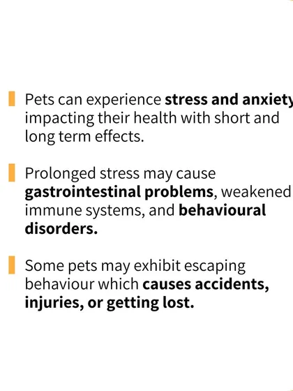 Prolonged stress from loud noises can have serious health consequences for pets. This guide explains how it can lead to a weakened immune system and behavioral issues like trying to escape.