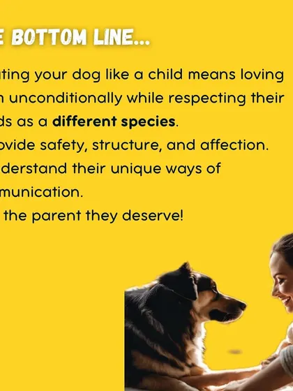 The bottom line is simple: be the parent your dog deserves. This means providing safety, structure, and affection while respecting their needs as a different species.