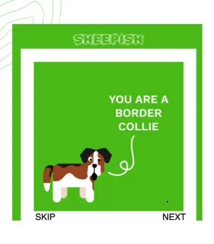 An animated graphic for our p5.party workshop, showing a cute border collie herding sheep in the game "Sheepish." This is the kind of fun, interactive project you can learn to build.