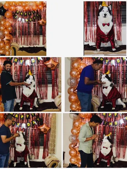 A full birthday bash for Oscar the Husky. These photos show the whole celebration, from his dapper party outfit and custom cake to the joyful moments with his entire family. We help make these core memories happen.