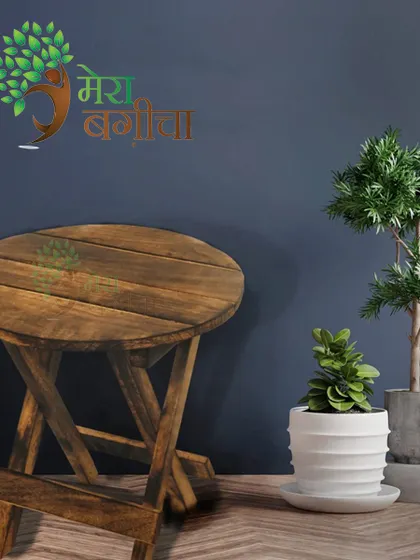 This wooden folding stool is a handy accessory for your garden or balcony. You can use it as a small table to display your pots or as a convenient seat while you work.