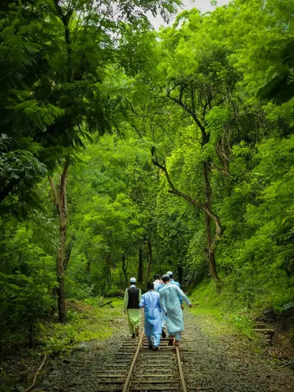 A group of people walks along the toy train tracks running through the lush green forest of Sanjay Gandhi National Park in Mumbai. It shows a different, greener side of the city.