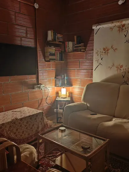 Another view of the living area, where dogs can relax on the furniture. My home is designed for dogs, with durable furniture and plenty of space to unwind.