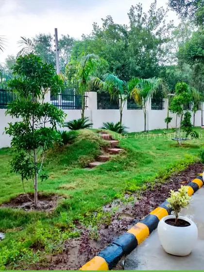 A landscaping project for a property perimeter, featuring newly planted trees, manicured grass patches, and clean white planters for a modern look.