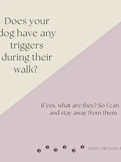Identifying and avoiding triggers during walks is crucial for a stress-free experience, especially for reactive or anxious dogs.