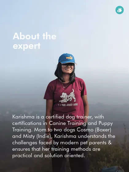 Meet Karishma, one of our certified dog trainers. As a mom to a Boxer and an Indie, she understands the challenges of modern pet parents and provides practical, solution-oriented training.