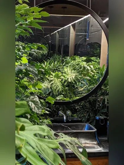 We believe even bathrooms should connect to nature. In this powder room, a large circular mirror reflects a dense wall of indoor plants, creating the illusion of being in a lush forest.