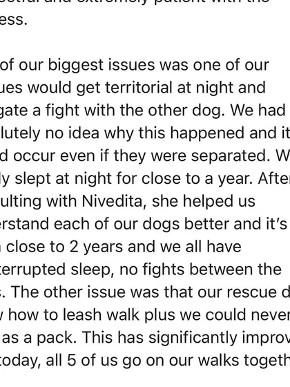 A review from my clients in Australia, detailing how we resolved territorial fights in their multi-dog household, allowing everyone to finally get a good night's sleep.