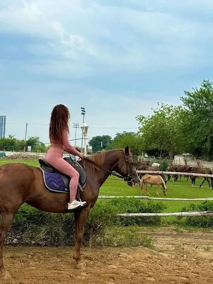 A rider takes a moment to enjoy the view of our green pastures, where other horses are grazing peacefully.