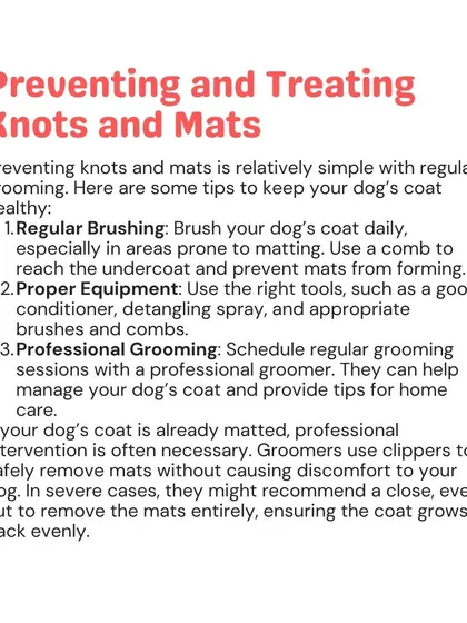 Preventing and treating knots and mats is simple with regular grooming. This guide offers tips for keeping your dog's coat healthy.