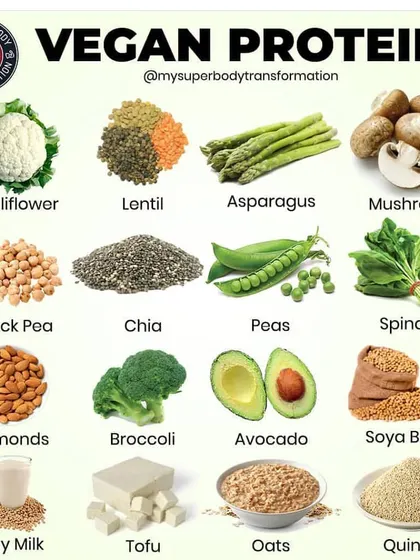 Your diet is your foundation. I provide guidance on all types of protein sources, including a full range of vegan options like lentils, tofu, and quinoa, to support your specific health and fitness goals.