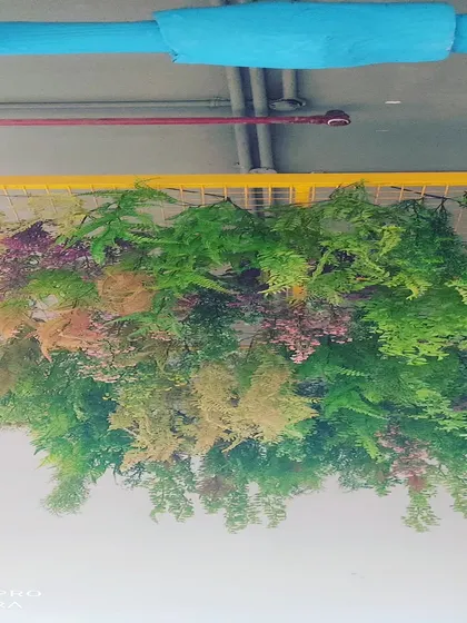 An overhead view of a hanging grid filled with artificial ferns and foliage. This type of installation can be used to cover exposed pipes or ductwork on the ceiling in a decorative way.