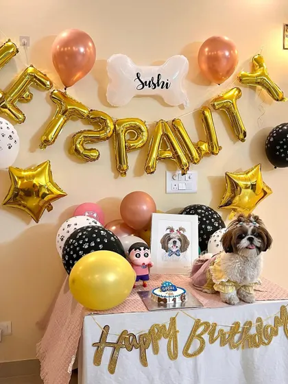 Another adorable shot of Sushi and her party table. The "Let's Pawty" balloons and custom portrait show how much love went into planning her special day.