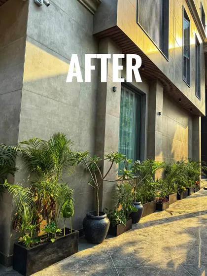 After: The same walkway transformed into a bright and welcoming path. I used a mix of real and artificial plants in modern planters to create a beautiful, low-maintenance green border.