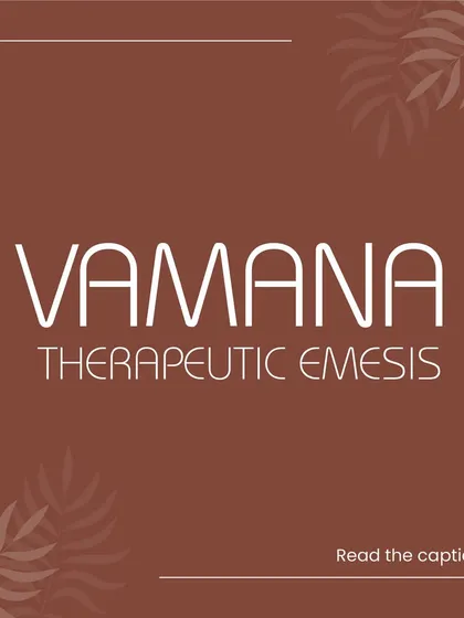 This introduces our detailed guide to Vamana therapy. Vamana is a cornerstone of Panchakarma, focused on therapeutic emesis to clear excess mucus and toxins from the upper body, providing relief from a range of conditions.