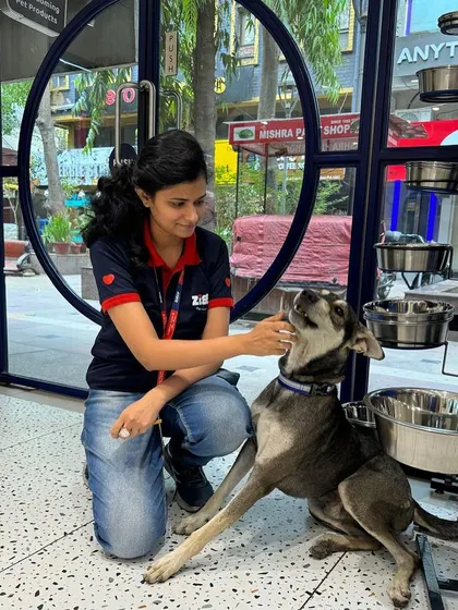 Our team member Sakshi shares a gentle moment with Tyson, the stray dog we rescued and rehabilitated.