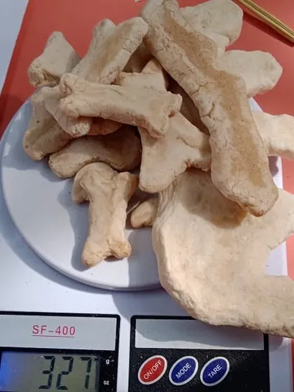 A kitchen scale is used to weigh the "dinosaur bones." This simple tool turns a classroom activity into a real-world scientific investigation, making abstract concepts like weight tangible.