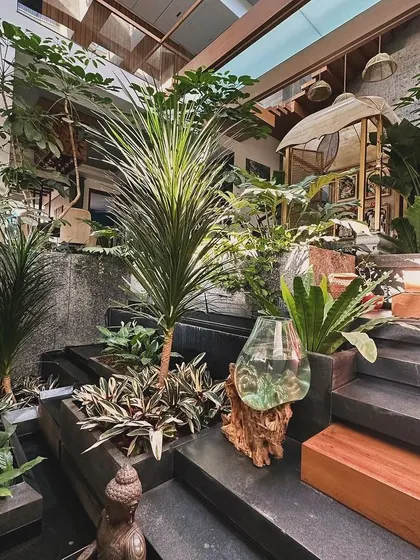 An interior landscape in a compact Bangalore home. The design brings a multi-level garden indoors, complete with a water feature, to complement the client's love for nature.