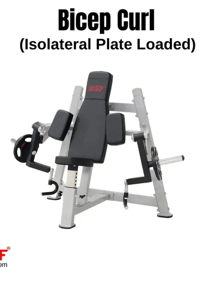 A front view of our Isolateral Plate-Loaded Bicep Curl machine, showcasing its sturdy build and ergonomic design.
