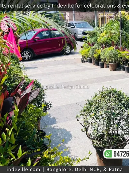 Rows of potted plants ready for placement at a large-scale event. This shows the logistical side of my plant rental and event landscaping services.