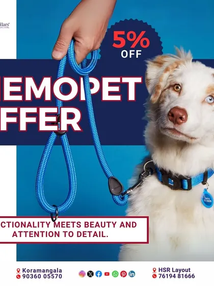 Functionality meets beauty in the Memo Pet collection from Italy. This gear is not only stylish but also highly durable and features an integrated NFC chip for storing your pet's profile, making it a smart choice for the modern pet parent.