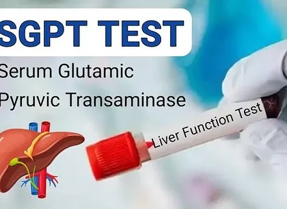 An infographic explaining the SGPT test, a key marker for liver function. Understanding these tests is the first step to identifying the root cause of inflammation and metabolic problems.
