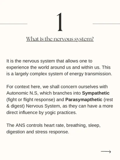 An introduction to the nervous system. Understanding the difference between the sympathetic (fight or flight) and parasympathetic (rest and digest) systems is key to using yoga for balance.