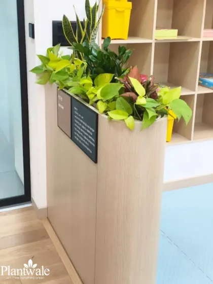 This view shows how the planter integrates with the office furniture, with a sign attached to its side. Our designs are not just decorative but can also be integrated with the functional needs of the space.