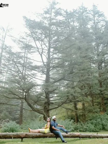 A peaceful moment in a misty Mussoorie forest. The couple sitting back-to-back on a log creates a symmetrical and visually pleasing composition.