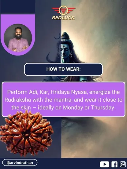 To wear the 10 Mukhi Rudraksha, you must first perform the Adi, Kar, and Hriday Nyasa rituals. Energize the bead with its mantra and wear it close to the skin, ideally on a Monday or Thursday, for best results.