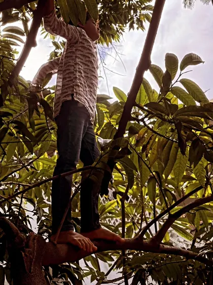 A child confidently climbs a tree, testing his balance and strength. We encourage this kind of risk-taking play, which builds physical confidence and a connection to nature.
