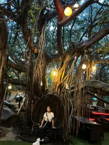 Another shot from the beautiful Pebble venue. The way the lights hang from the ancient tree creates an enchanted forest vibe that's perfect for a psytrance night.