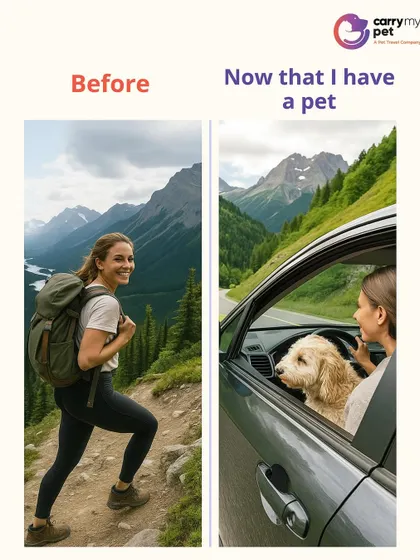 Life before a pet vs. life after a pet. The "after" is always better, with a furry co-pilot for all of life's road trips.