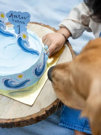 A close-up detail from Aariv's first birthday cake smash, with Ollie the Golden Retriever getting a little taste. It's the small, funny moments that make these sessions so memorable.