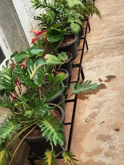 Our single-row stands are perfect for lining a wall or balcony edge. They can hold various pot sizes and are ideal for creating a neat, linear garden display.