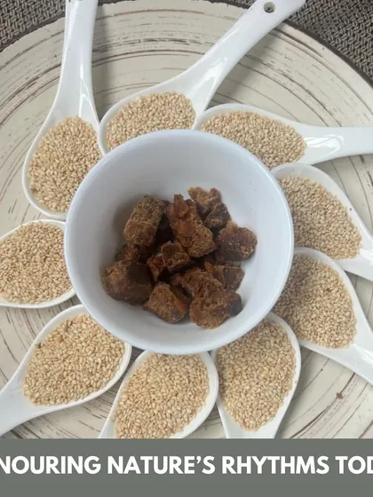 Honoring nature's rhythms on Makar Sankranti with sesame and jaggery. This festival marks a seasonal transition, and Ayurveda offers wisdom on how to maintain balance through diet.