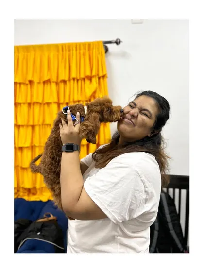 Puppy kisses are the best reward. This mini Poodle is showing his appreciation after his grooming session.