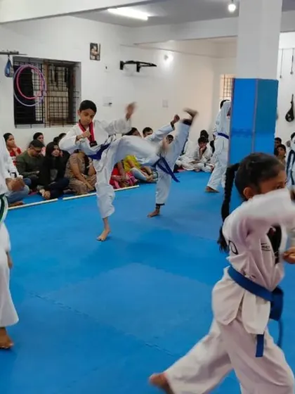 A class of blue belts practicing their kicks.