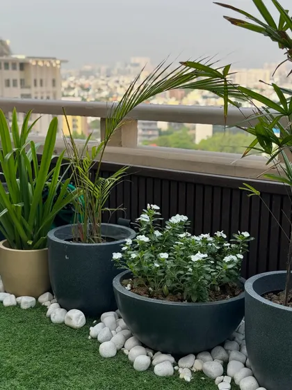A close-up of the planters on the balcony. The mix of flowering plants and leafy foliage in contemporary pots adds texture and life, proving that even small spaces can have a rich garden feel.