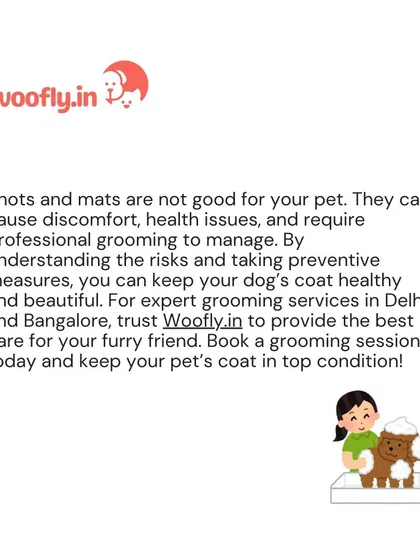 Knots and mats are not good for your pet and require professional grooming. Book a session with me to keep your pet's coat in top condition.