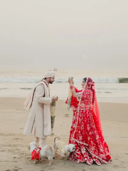 A romantic varmala ceremony on the beach at sunset, with the couple's two small dogs adding a personal and adorable touch to the moment.