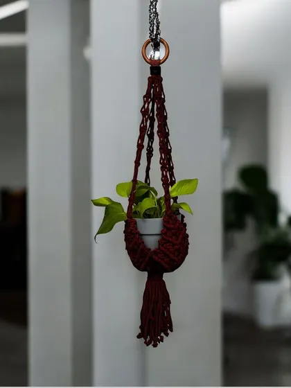 A single maroon plant hanger, perfect for adding a touch of color to a corner of your room.