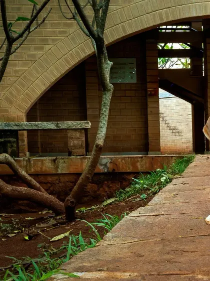 A different angle of the architecture shoot, with the tree branches adding a natural, organic frame to the shot.