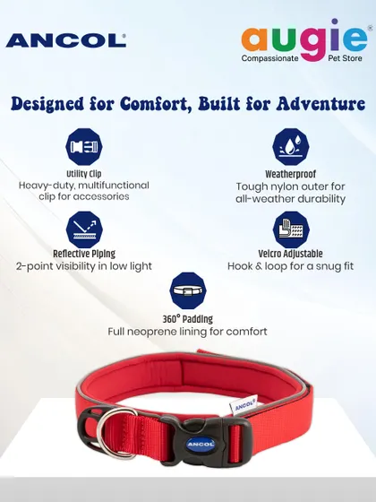 This collar is designed for comfort and built for adventure. It features a heavy-duty utility clip, reflective piping for low-light visibility, 360-degree padding, and a weatherproof nylon outer.