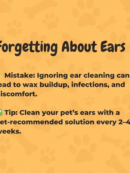 Forgetting to clean your pet's ears can lead to wax buildup, infections, and discomfort. I recommend cleaning them every 2 to 4 weeks with a vet-approved solution to keep them healthy.