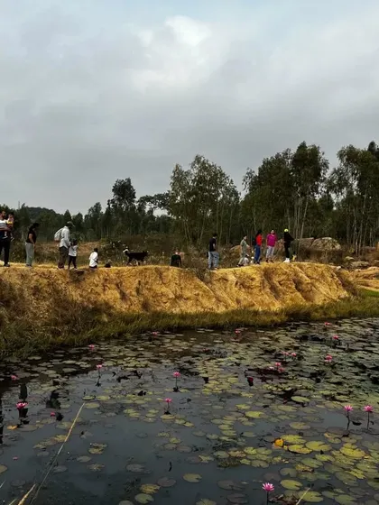 Our community trek brings together children, parents, and even a dog, exploring a beautiful landscape with a lily pond just outside Bangalore.