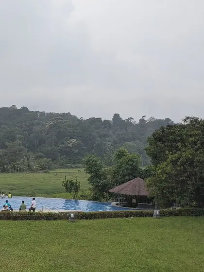 The stunning infinity pool at Aurika Coorg, surrounded by expansive green lawns and forests. This is the kind of luxury and natural beauty I provide for corporate outings.
