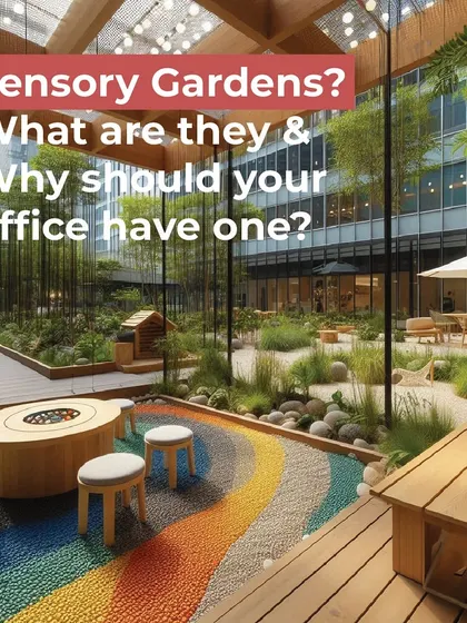 Have you considered a sensory garden for your office? These spaces engage all five senses to reduce stress, boost creativity, and improve employee well-being.