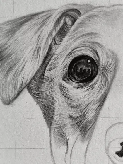 A work-in-progress of the dog's eye. You can see the grid lines I use for placement and the initial layers of pencil shading.