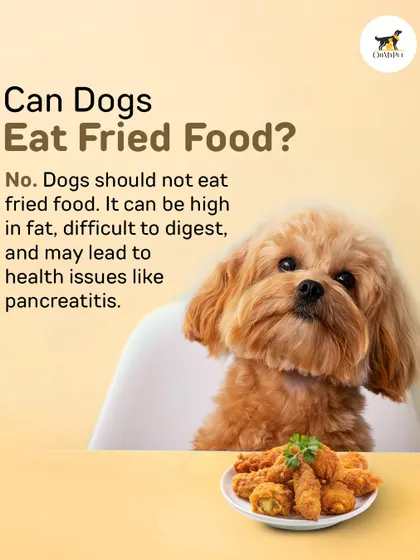 As tempting as it is to share, fried food is a big no for dogs. It's high in fat and can lead to serious health issues, so stick to dog-friendly treats.
